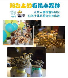 讓孩子觀察生命成長也能做公益 棒棒彈愛心蘑菇火爆預售中 絕對超值更有趣