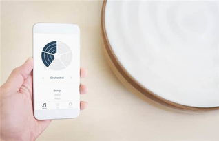 這些產品剛剛拿到了最低調的idea設計大獎 創意可一點都不低調呢