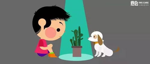 需要分享給身邊人的10個(gè)自閉癥真相